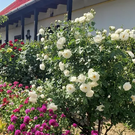 Dura Guesthouse, Garden Wellness Retreat Near The Tisza River Paszab